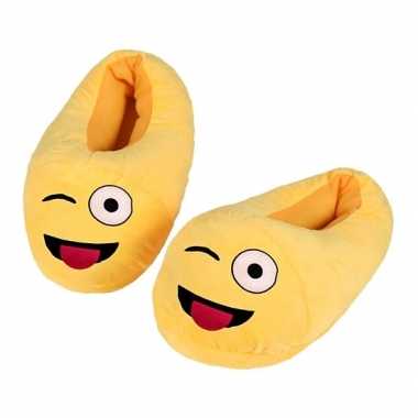 Kinderen wink smiley sloffen